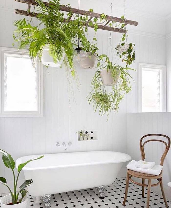 Улучшаем энергетику ванной комнаты: рейтинг популярных комнатных растений