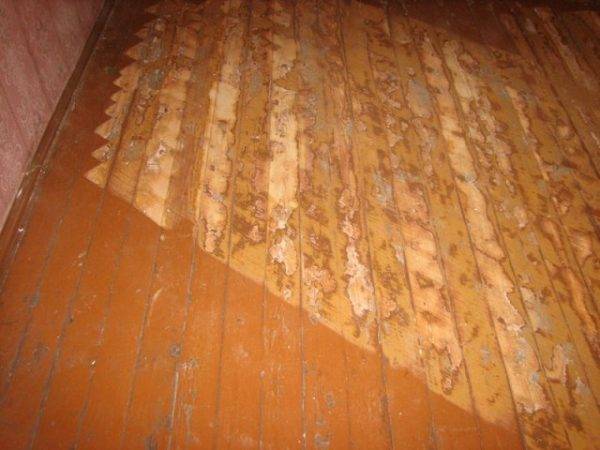 Покрытие линолеума на деревянный пол своими руками: инструкция
