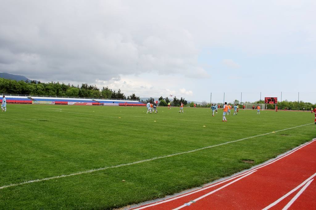 Какое основание и наливное покрытие выбрать для мини-футбольного поля