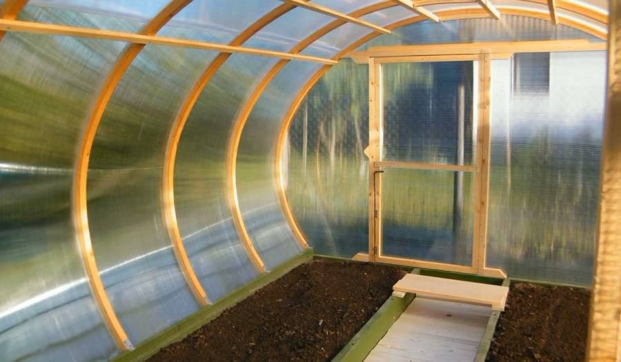 Как использовать теплицу по максимуму: полезные советы