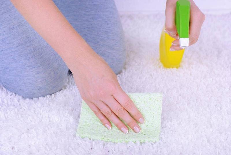 Как почистить ковер в домашних условиях быстро и эффективно
