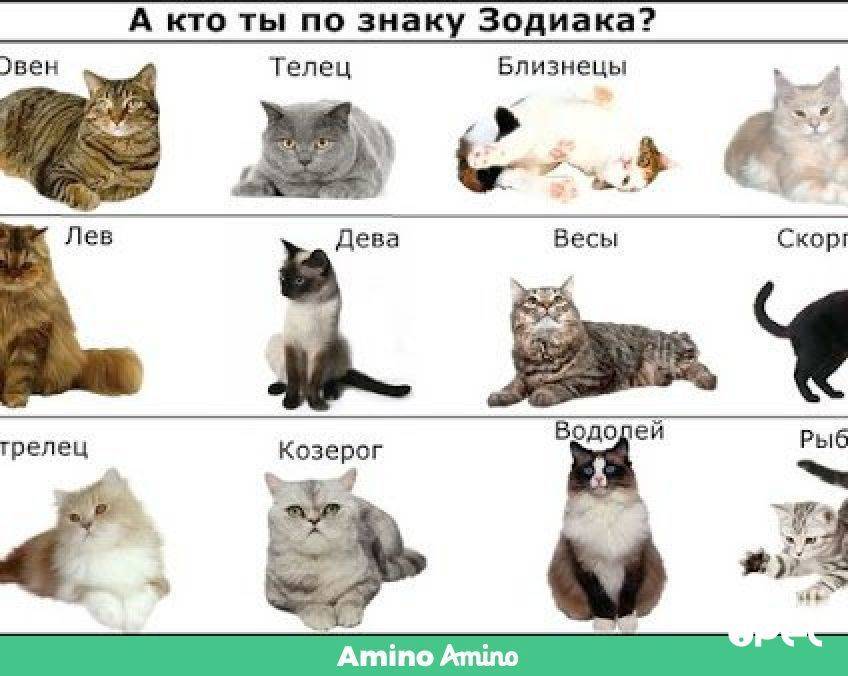 Дизайн домов по знаку зодиака: выбираем свой