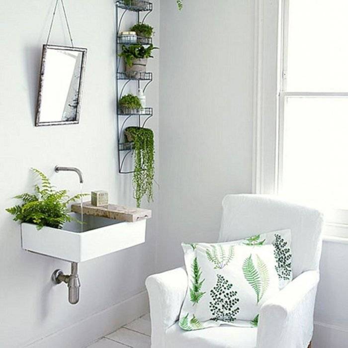 Растения для ванной: какие выбрать и как ими украсить комнату? (+35 фото) | дизайн и интерьер ванной комнаты