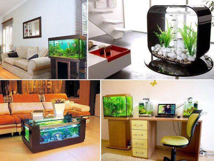 79 идей аквариумного дизайна