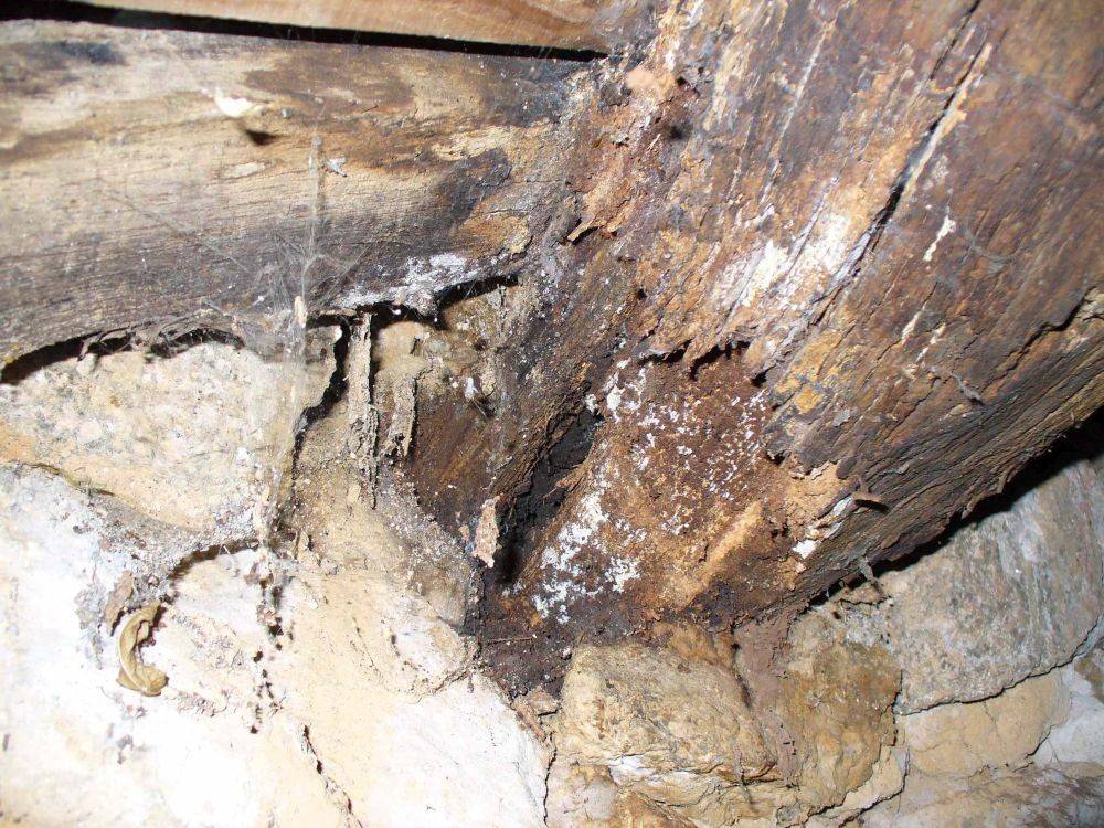 Реставрация деревянного пола и как укрепить деревянный пол