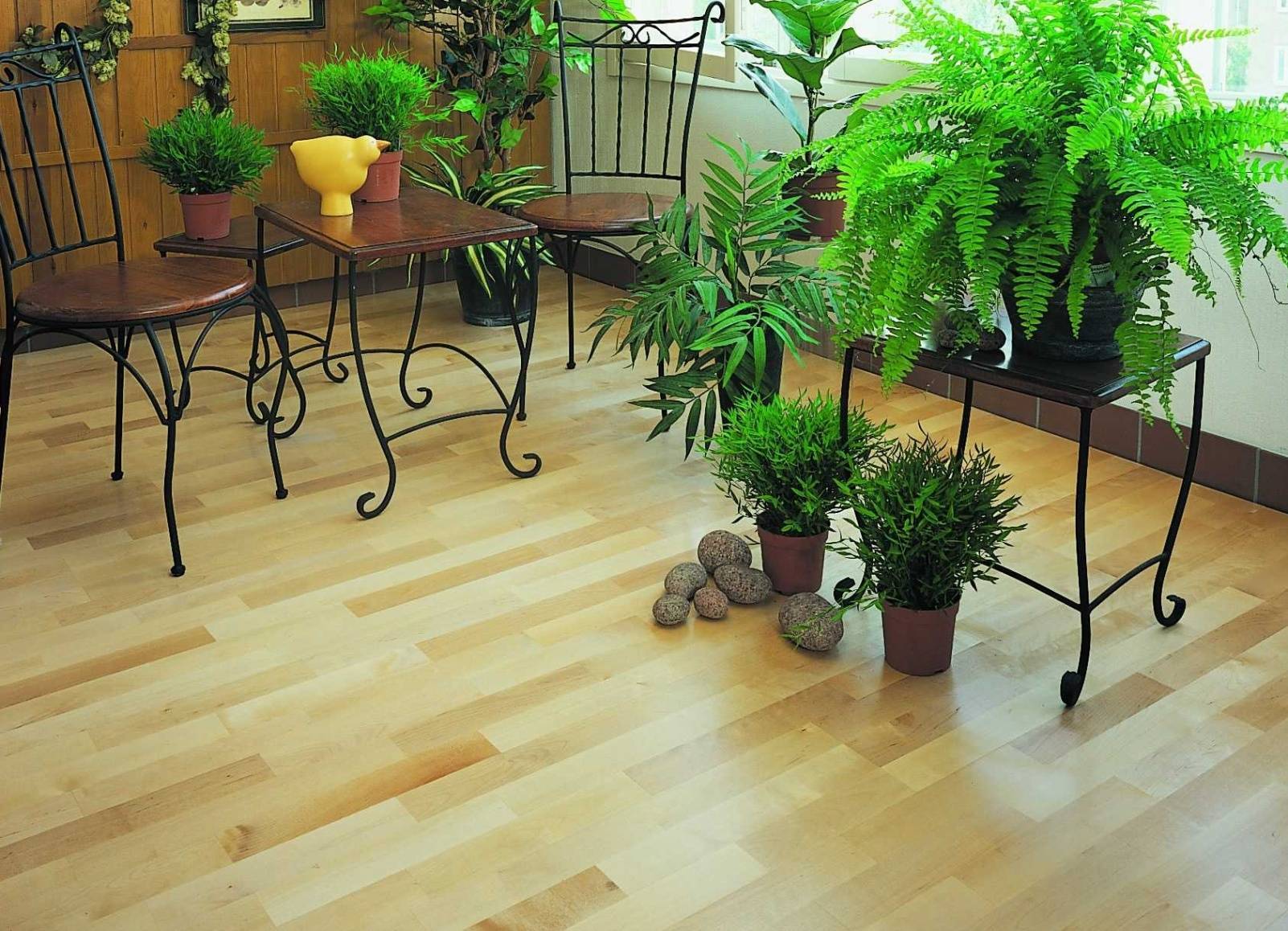 Линолеум на войлочной основе