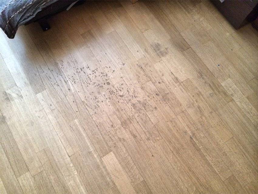 Восстановление паркета своими руками: лучшие способы от мастеров-ремонтников