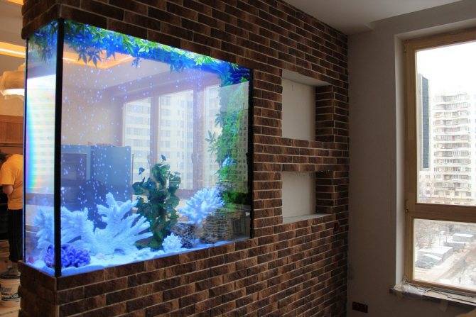 20 лучших идей размещения аквариума в квартире: куда поставить рыбок