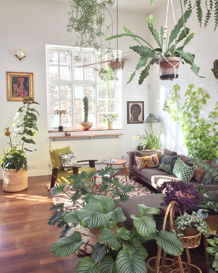 Комнатные растения в интерьере — правила выбора растений и использование их в дизайне помещений (102 фото)