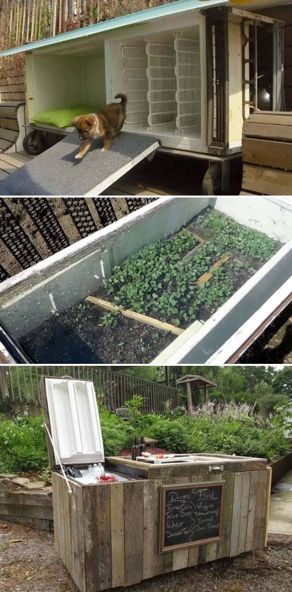 5 идей, что можно сделать со старым холодильником для дома и дачи - розы в саду