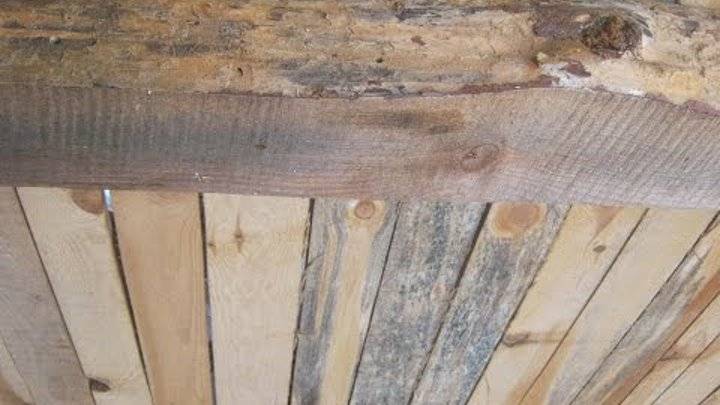 Чем обработать грибок под полом и в подполье деревянного дома