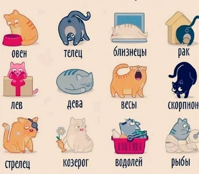 Узнайте, как выглядит дом мечты представителей разных знаков зодиака