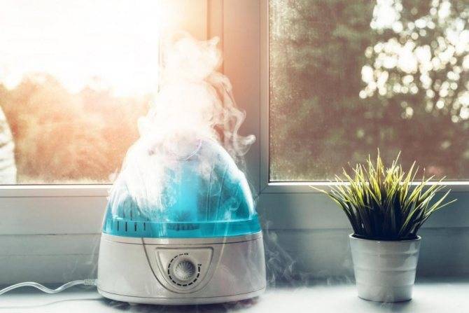 7 простых идей увлажнения воздуха в квартире