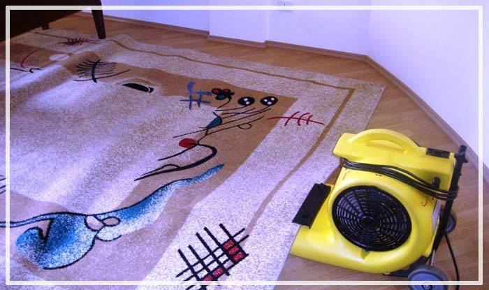 Как быстро высушить ковер на полу — пылесос и другие методы
