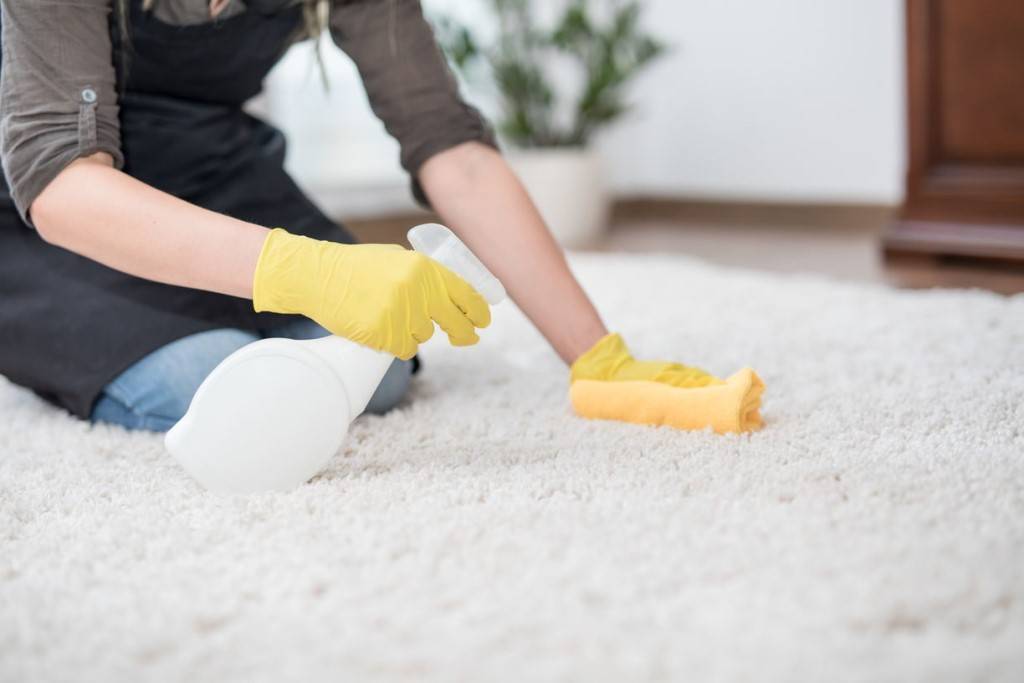 Как в домашних условиях очистить ковролин
