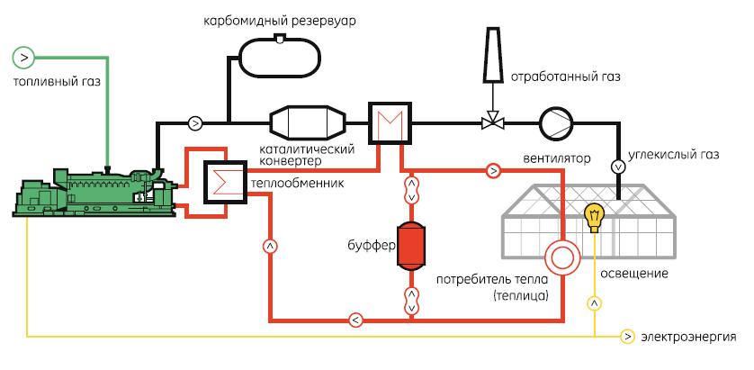 Как использовать теплицу по максимуму: полезные советы