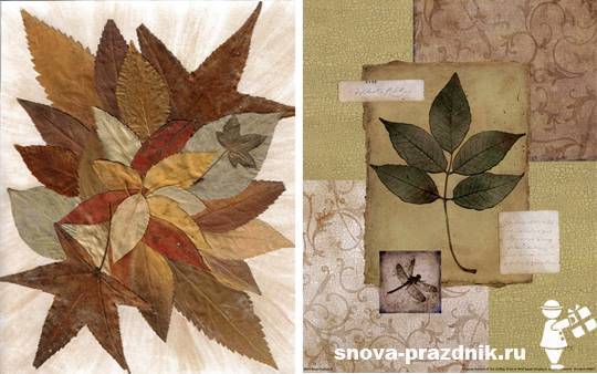 Поделки из осенних листьев: природная красота в квартире и на даче