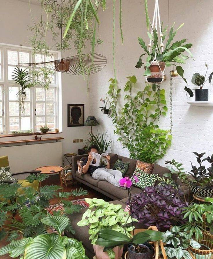 Свежий интерьер дома: 30 зеленых уголков для любителей растений