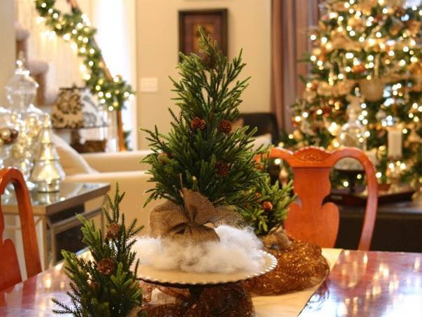 Что делать если елка осыпается. важные советы, чтобы новогодняя ель не засыпала весь дом иголками