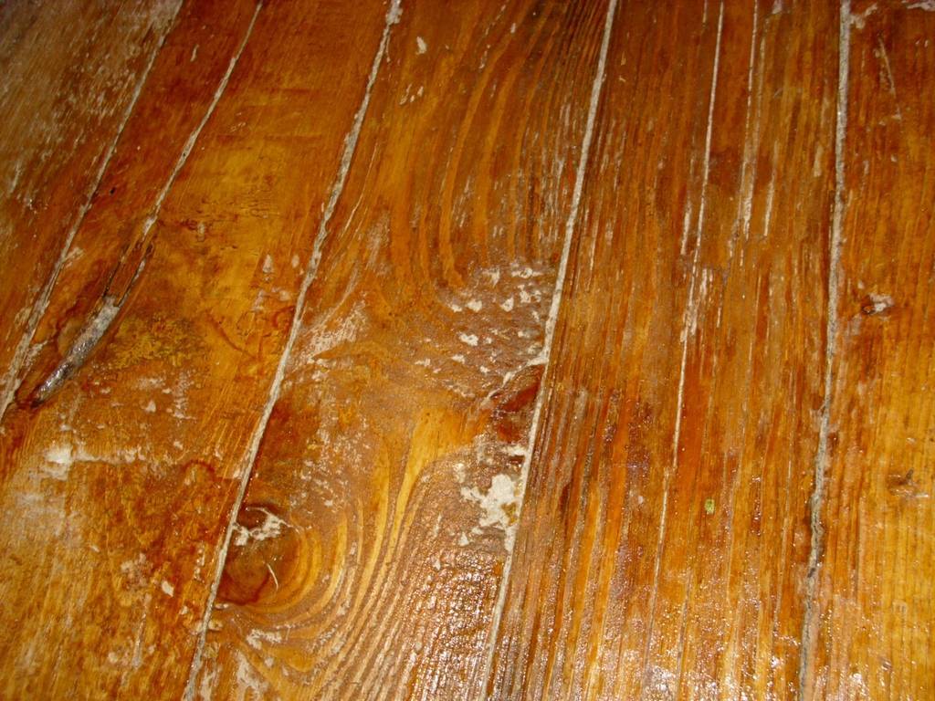 Чем покрыть деревянный пол — лак, масла или краска