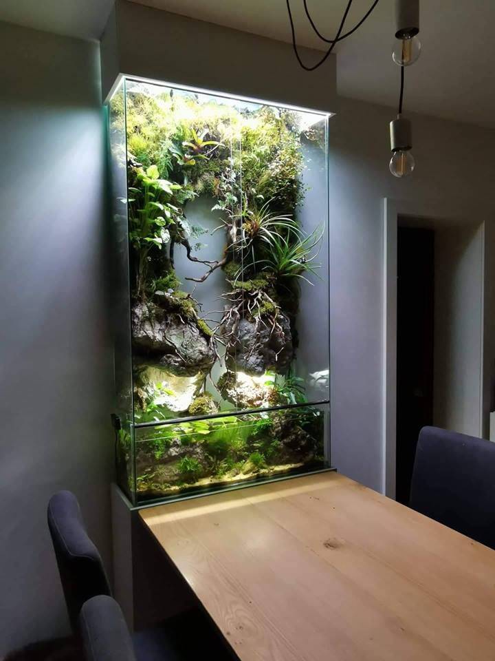 Куда поставить аквариум по фен шуй в квартире?