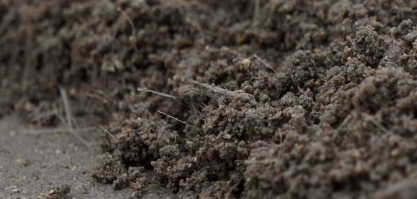 Цементно-песчаная стяжка: виды, пошаговая инструкция по заливке