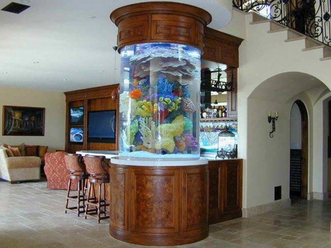 20 лучших идей размещения аквариума в квартире: куда поставить рыбок