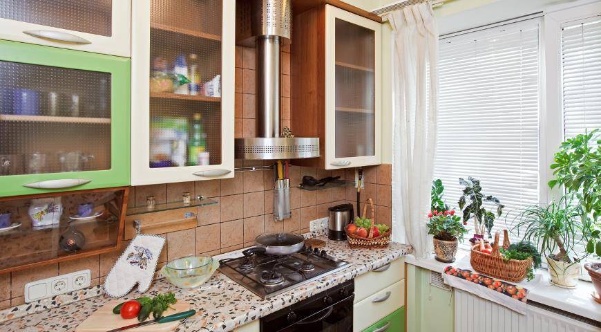 7 цветов для кухни, которые умеют впитывать запахи