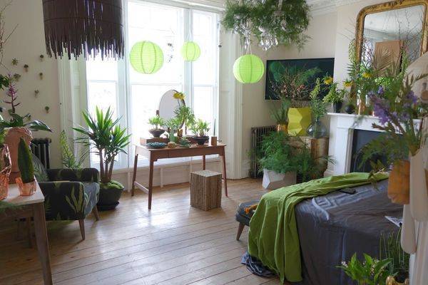 10 очень красивых и неприхотливых комнатных растений, которые сделают ваш дом уютнее