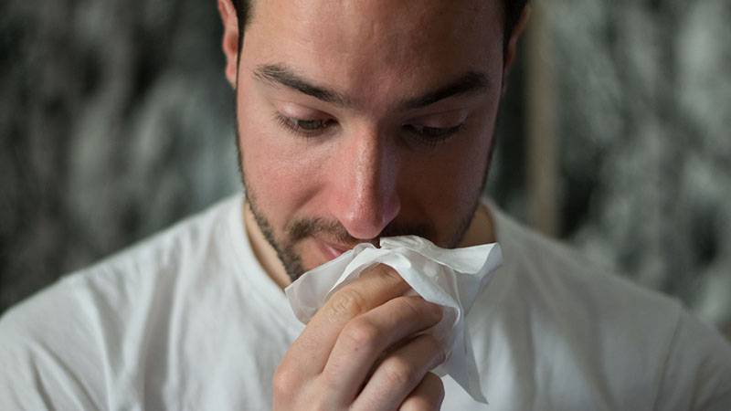 7 домашних растений, которые вызывают аллергию практически у каждого человека