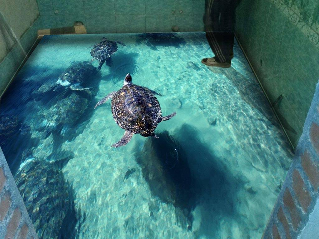 3d полы своими руками