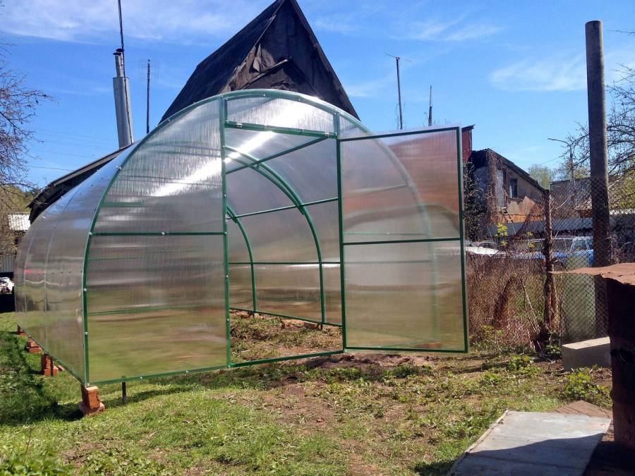 Как использовать теплицу по максимуму: полезные советы