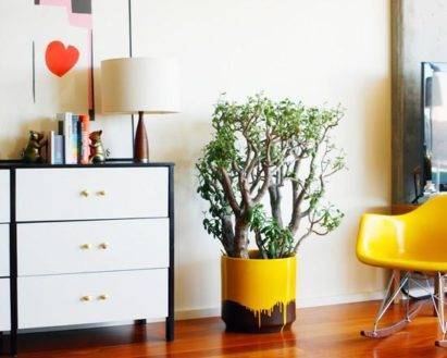 Как лучше расставить комнатные цветы в квартире: идеи с фото