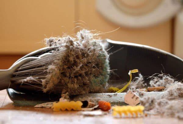 Как часто нужно пылесосить и мыть полы в квартире