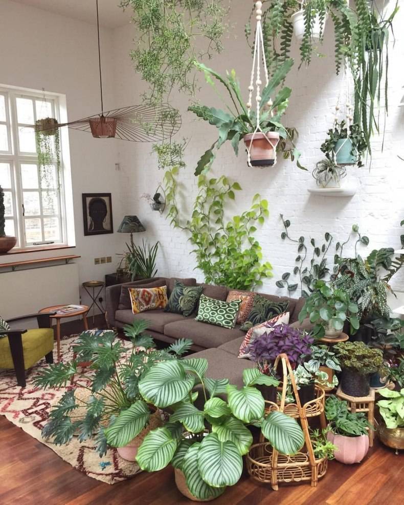 Свежий интерьер дома: 30 зеленых уголков для любителей растений