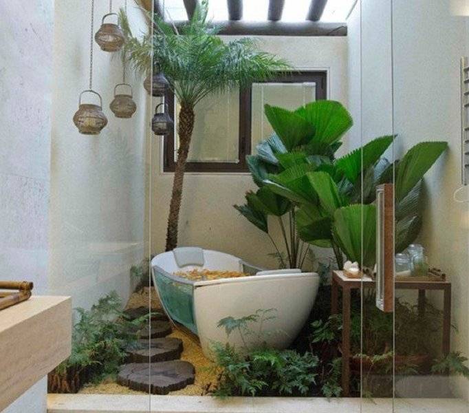 10 растений, которым будет комфортно даже в ванной комнате без света | stena.ee