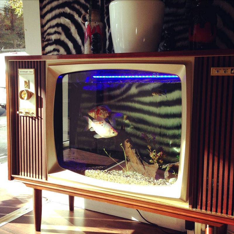 Что можно сделать из старого телевизора: аквариум, полку, домик