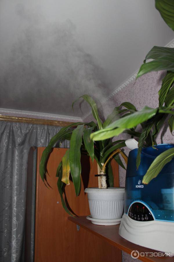 Как увлажнить воздух в комнате без увлажнителя: эффективные способы
