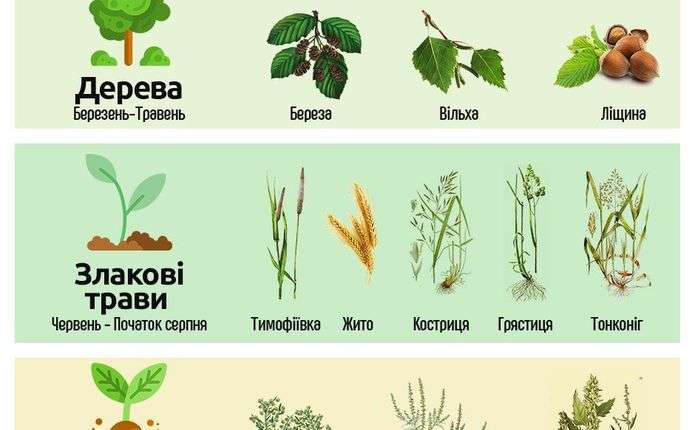 Растения, которые вызывают аллергию