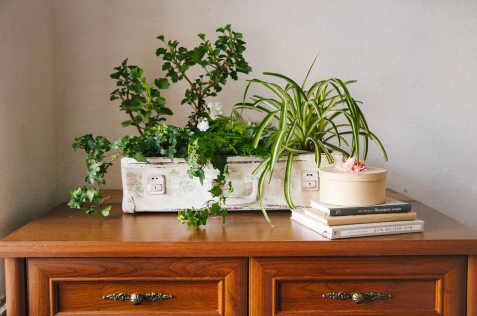 Что сделать из старой ванны: 20 интересных идей