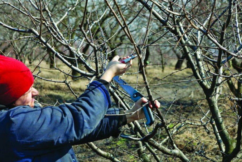 8 вещей, которые нужно изменить в интерьере, чтобы легче пережить зиму