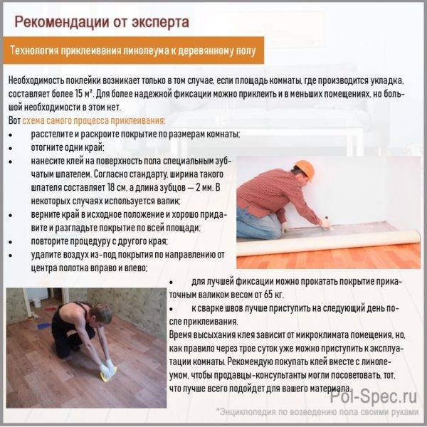 Сколько должен лежать линолеум перед установкой плинтуса? - electrik-ufa.ru