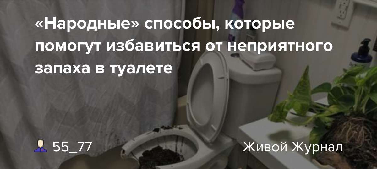 Если куришь: как избавиться от запаха табака в квартире своими руками — проверенные методы от playboyrussia.com | playboy
