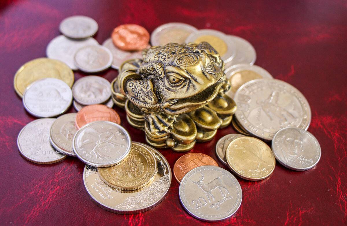 8 статуэток животных, которые по фэн-шуй способны привлечь в дом счастье